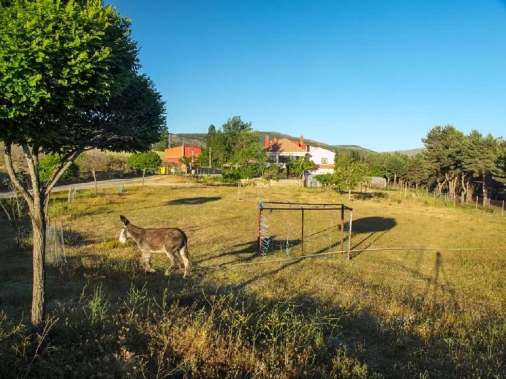 El Mirador De Tortoles Villa Eksteriør bilde